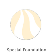 Special Foundation