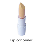 Lip Concealer